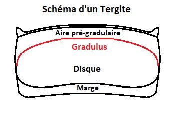 Indéterminé